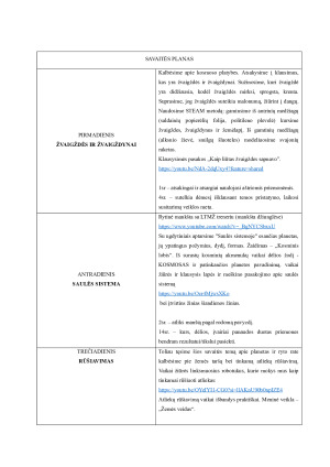 SAVAITINIS UGDYMO PLANAS. Paveikslėlis 5