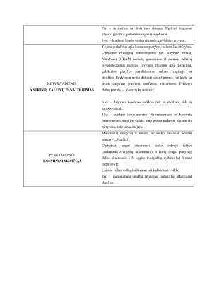 SAVAITINIS UGDYMO PLANAS. Paveikslėlis 6