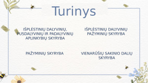 Skyryba 7 klasė. Paveikslėlis 2