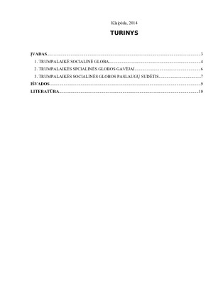 TRUMPALAIKĖS SOCIALINĖS GLOBOS YPATUMAI. Paveikslėlis 2