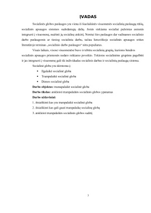 TRUMPALAIKĖS SOCIALINĖS GLOBOS YPATUMAI. Paveikslėlis 3
