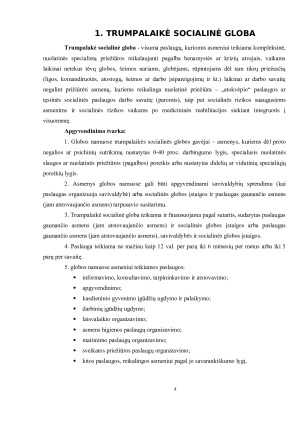 TRUMPALAIKĖS SOCIALINĖS GLOBOS YPATUMAI. Paveikslėlis 4