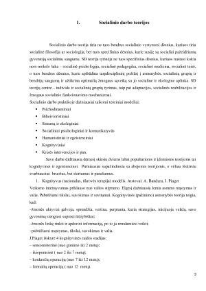 Dviejų socialinio darbo teorijų analizė. Paveikslėlis 3