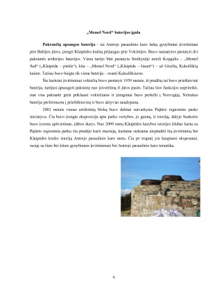 Kultūros paveldas ir turizmas. Paveikslėlis 6
