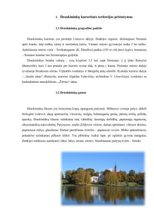 DRUSKININKAI. Paveikslėlis 5
