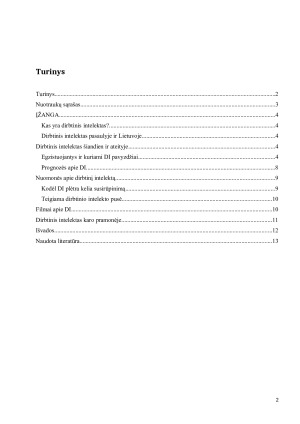 DIRBTINIS INTELEKTAS. Paveikslėlis 2