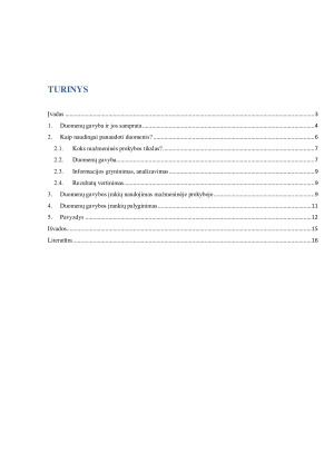 DUOMENŲ GAVYBA MAŽMENINĖJE PREKYBOJE. Paveikslėlis 2