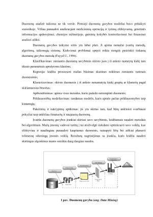 DUOMENŲ GAVYBA MAŽMENINĖJE PREKYBOJE. Paveikslėlis 5