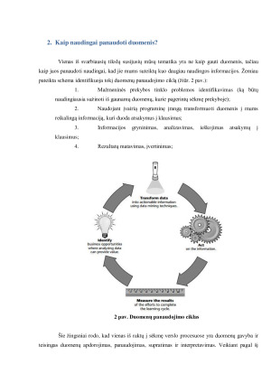 DUOMENŲ GAVYBA MAŽMENINĖJE PREKYBOJE. Paveikslėlis 6