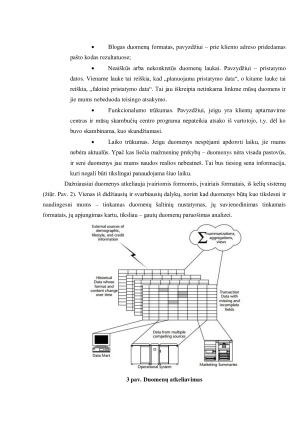 DUOMENŲ GAVYBA MAŽMENINĖJE PREKYBOJE. Paveikslėlis 8