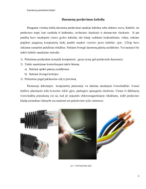 Duomenų perdavimo ir skaitmeninio kodavimo metodų analizė. Paveikslėlis 3