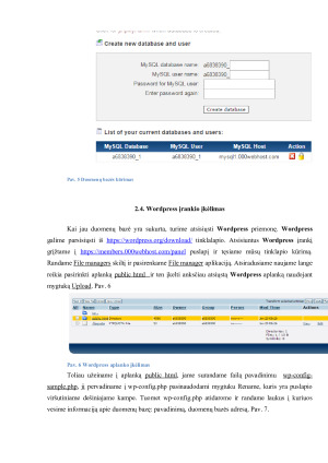 HIPERTEKSTINĖS SISTEMOS IR INTERNETINĖS TECHNOLOGIJOS. Paveikslėlis 6
