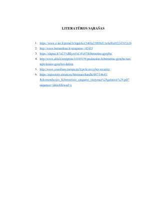 Kibernetinio saugumo iššūkiai ir valstybės informacinių sistemų apsaugos svarba. Paveikslėlis 9