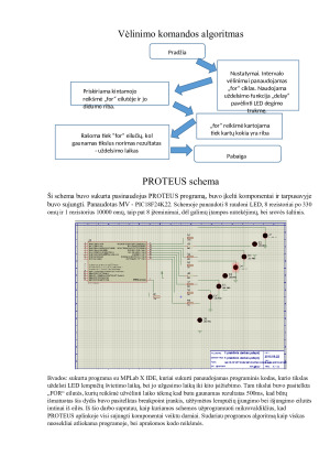 Mikroprocesoriai. Paveikslėlis 6