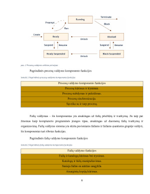 Operacinės sistemos komponentės ir paslaugos. Paveikslėlis 6