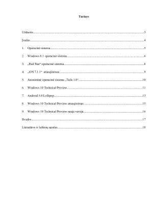 Operacinės sistemos. Paveikslėlis 2