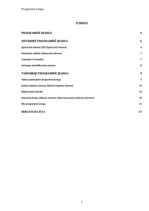 PROGRAMINĖ KOMPIUTERIO ĮRANGA. Paveikslėlis 2