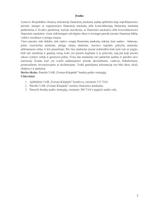 „Fortum Klaipėda“ audito strategija. Paveikslėlis 3