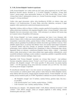 „Fortum Klaipėda“ audito strategija. Paveikslėlis 4