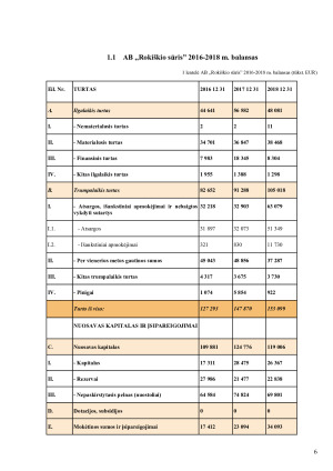 AB „Rokiškio sūris“ trejų metų finansinių rodiklių analizė. Paveikslėlis 6