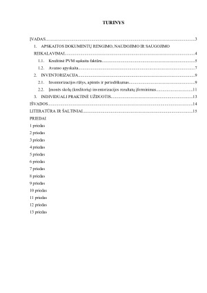 APSKAITOS PAGRINDŲ INDIVIDUALUS DARBAS. Paveikslėlis 2