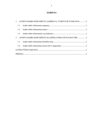 AUDITO DARBO DOKUMENTAI. Paveikslėlis 2