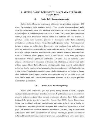 AUDITO DARBO DOKUMENTAI. Paveikslėlis 3