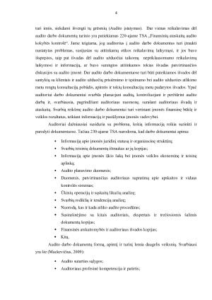 AUDITO DARBO DOKUMENTAI. Paveikslėlis 4