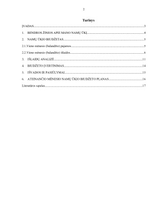 Finansų analizė. Paveikslėlis 2