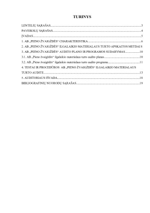 ILGALAIKIO MATERIALIOJO TURTO AUDITAS. Paveikslėlis 2