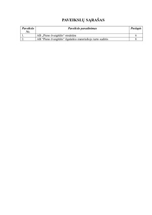 ILGALAIKIO MATERIALIOJO TURTO AUDITAS. Paveikslėlis 4