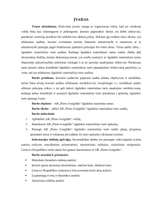 ILGALAIKIO MATERIALIOJO TURTO AUDITAS. Paveikslėlis 5