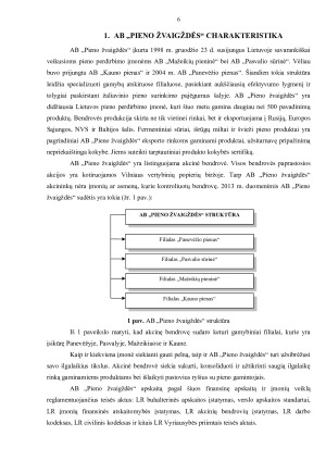 ILGALAIKIO MATERIALIOJO TURTO AUDITAS. Paveikslėlis 6