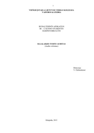 ILGALAIKIO TURTO AUDITAS