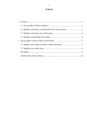 ILGALAIKIO TURTO AUDITAS. Paveikslėlis 2