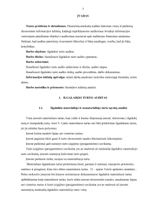 ILGALAIKIO TURTO AUDITAS. Paveikslėlis 3