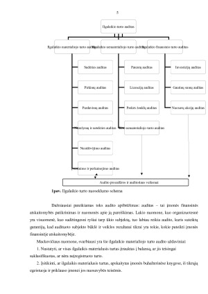 ILGALAIKIO TURTO AUDITAS. Paveikslėlis 5
