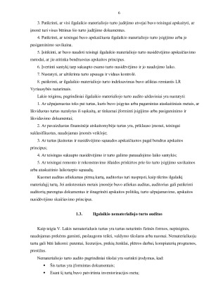 ILGALAIKIO TURTO AUDITAS. Paveikslėlis 6