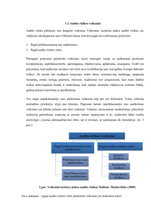 Išorės finansinio audito rizikos vertinimas ir rizikos valdymo priemonės. Paveikslėlis 9