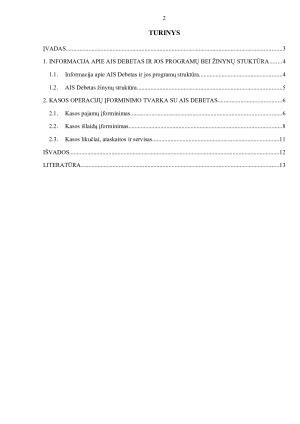 KASOS OPERACIJŲ ĮREGISTRAVIMO TVARKA NAUDOJANTIS APSKAITOS INFORMACINE SISTEMA „DEBETAS“. Paveikslėlis 2