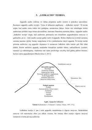 KLAIDOS IR APGAULĖS. Paveikslėlis 9