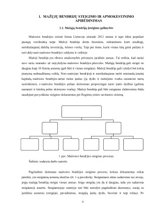 MAŽŲJŲ BENDRIJŲ APMOKESTINIMAS. Paveikslėlis 4