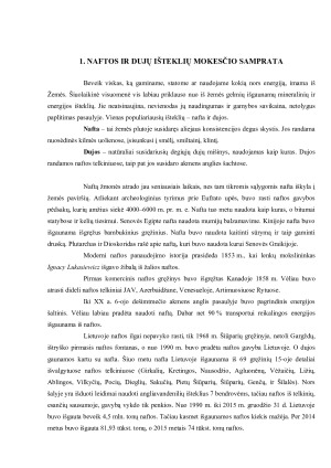 NAFTOS IR DUJŲ IŠTEKLIŲ MOKESTIS IR JO PRAKTINIO TAIKYMO YPATUMAI. Paveikslėlis 4