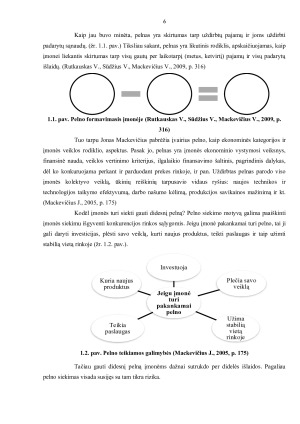 PELNO FORMAVIMOSI PROCESAS ĮMONĖJE „X“. Paveikslėlis 6
