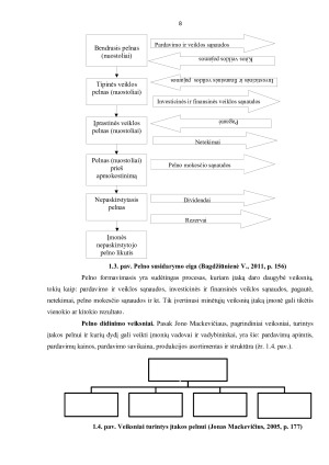 PELNO FORMAVIMOSI PROCESAS ĮMONĖJE „X“. Paveikslėlis 8