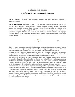 Vienfazis dvipusis valdomas lygintuvas. Paveikslėlis 1