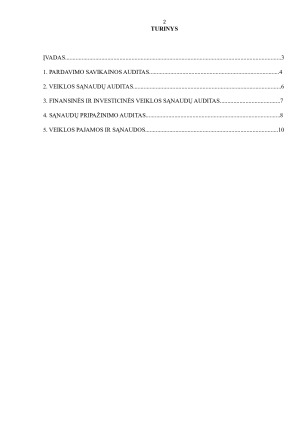 SĄNAUDŲ AUDITAS. Paveikslėlis 2