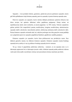 SĄNAUDŲ AUDITAS. Paveikslėlis 3