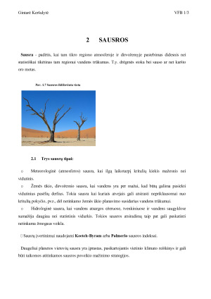 Ekstremalūs meteorologiniai reiškiniai. Paveikslėlis 9