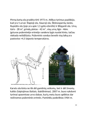 Ledynų slėptas Barstyčių akmuo. Paveikslėlis 10